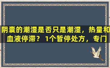 阴囊的潮湿是否只是潮湿，热量和血液停滞？ 1个暂停处方，专门研究前列腺和功能问题